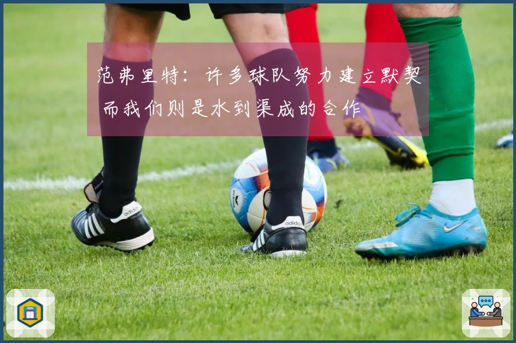 范弗里特：许多球队努力建立默契 而我们则是水到渠成的合作